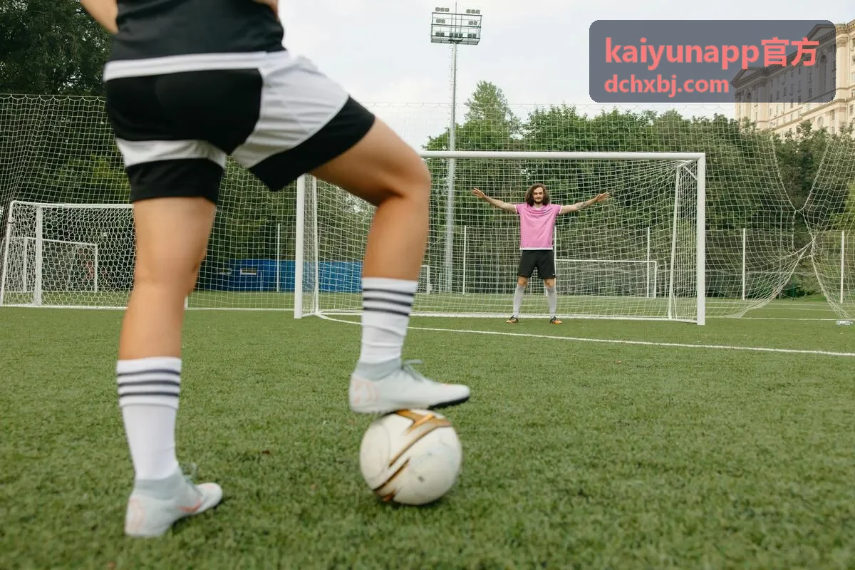 kaiyunapp官方 使用支持与常见问题页面