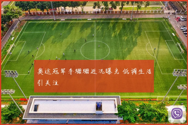 奥运冠军李珊珊近况曝光 低调生活引关注