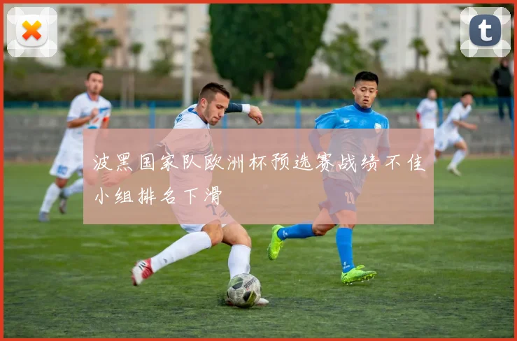 波黑国家队欧洲杯预选赛战绩不佳小组排名下滑