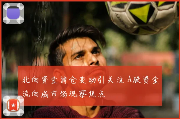 北向资金持仓变动引关注 A股资金流向成市场观察焦点