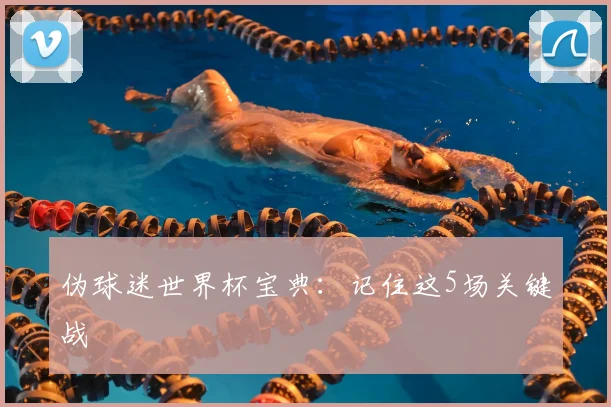 伪球迷世界杯宝典：记住这5场关键战