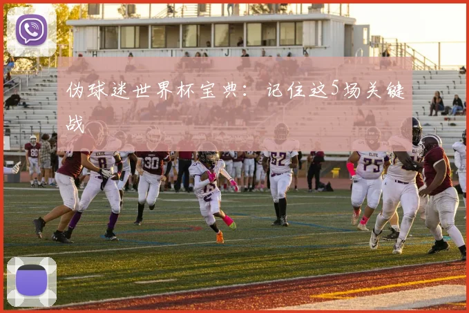 伪球迷世界杯宝典:记住这5场关键战